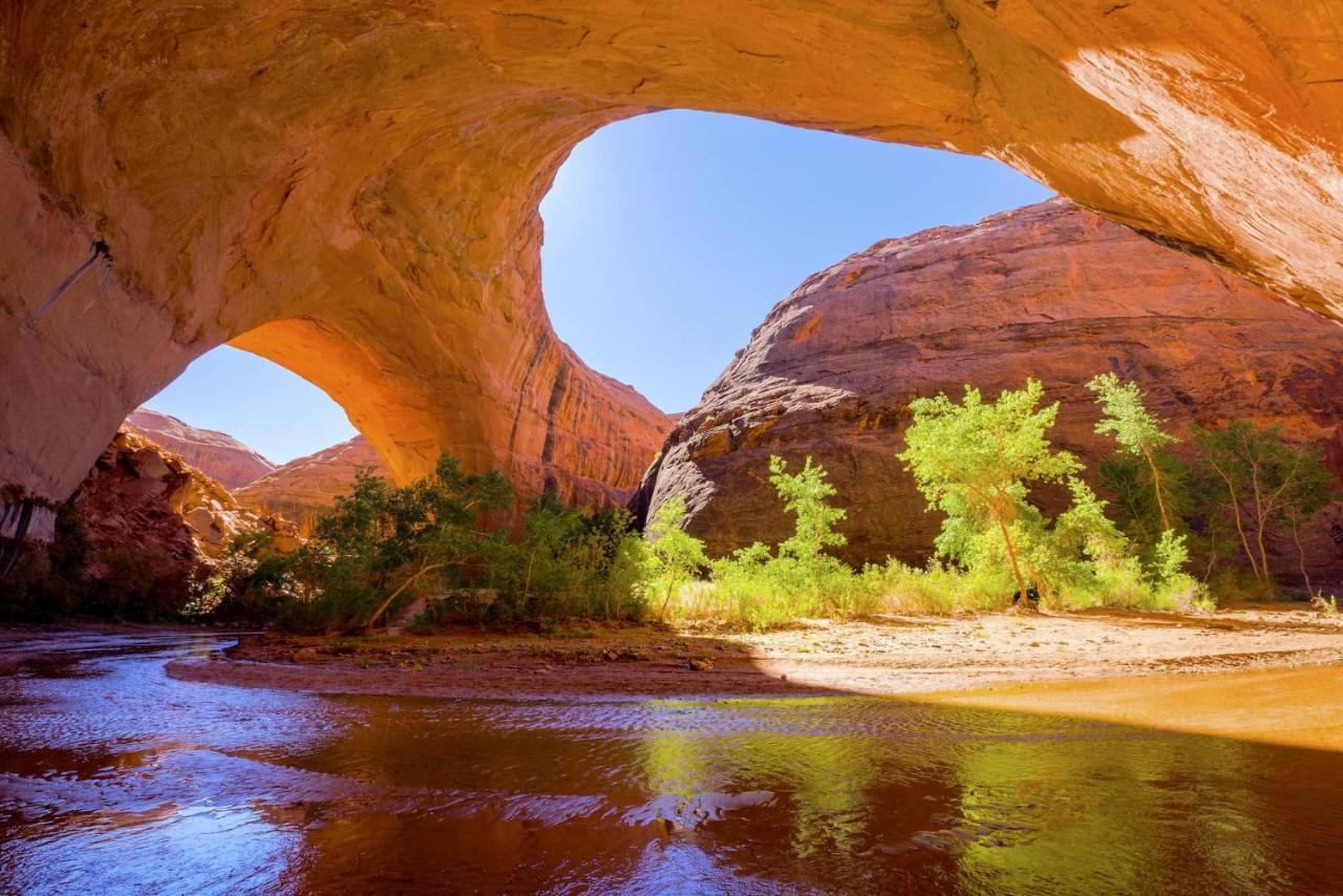 Bryce'S Zion House By Bryce Canyon National Park! パンギッ​​チ エクステリア 写真
