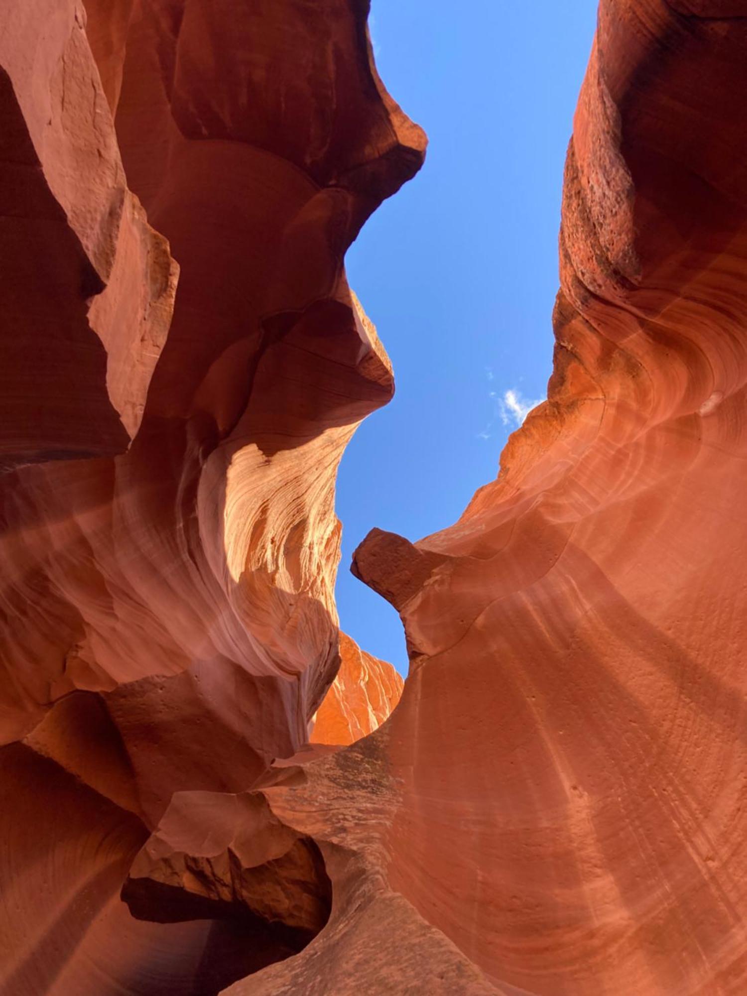 Bryce'S Zion House By Bryce Canyon National Park! パンギッ​​チ エクステリア 写真